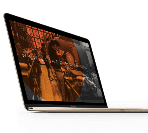 Image module
